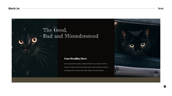 Black Cat slide template_11