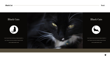 Black Cat slide template_14