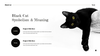 Black Cat slide template_15