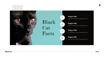 Black Cat slide template_17