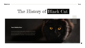 Black Cat slide template_19