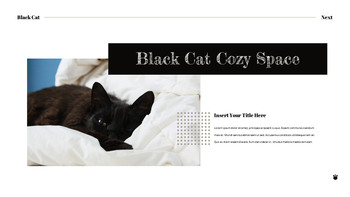 Black Cat slide template_23