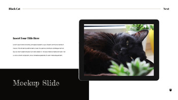 Black Cat slide template_36