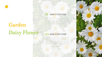 데이지 파워포인트 제안서_08