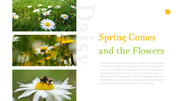 데이지 파워포인트 제안서_11