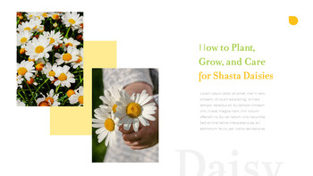 데이지 파워포인트 제안서_14