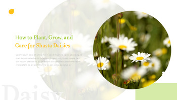 데이지 파워포인트 제안서_19