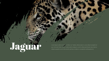 亚马逊 PPT设计_06