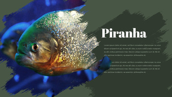 亚马逊 PPT设计_21