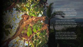 亚马逊 PPT设计_24