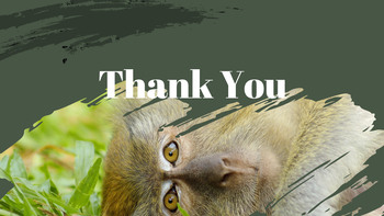 亚马逊 PPT设计_35