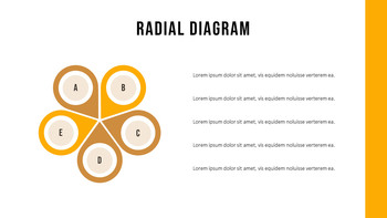 猫鼬 幻灯片PowerPoint._28