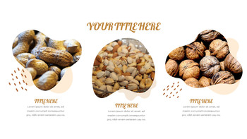 Various of Nuts google slides template_16