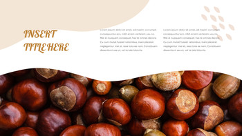 Various of Nuts google slides template_17