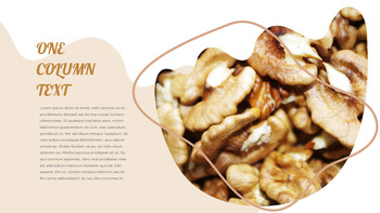 Various of Nuts google slides template_18