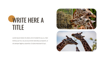 Giraffe Best Google Slides_05