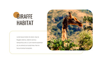 Giraffe Beste Google Slides_09