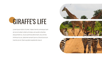 Giraffe Beste Google Slides_16