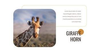 Giraffe Best Google Slides_19