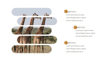 Giraffe Beste Google Slides_20