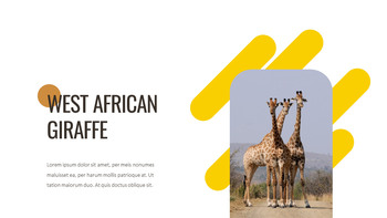 Giraffe Best Google Slides_26