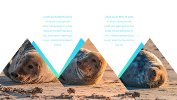 海豹 谷歌幻灯片主题和模板_11