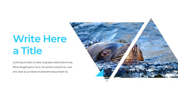 海豹 谷歌幻灯片主题和模板_23