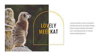 Meerkat Google Slides Templates_13