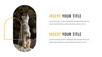 Meerkat Google Slides Templates_21