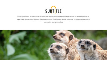 Suricate Modèles de diapositives Google_22