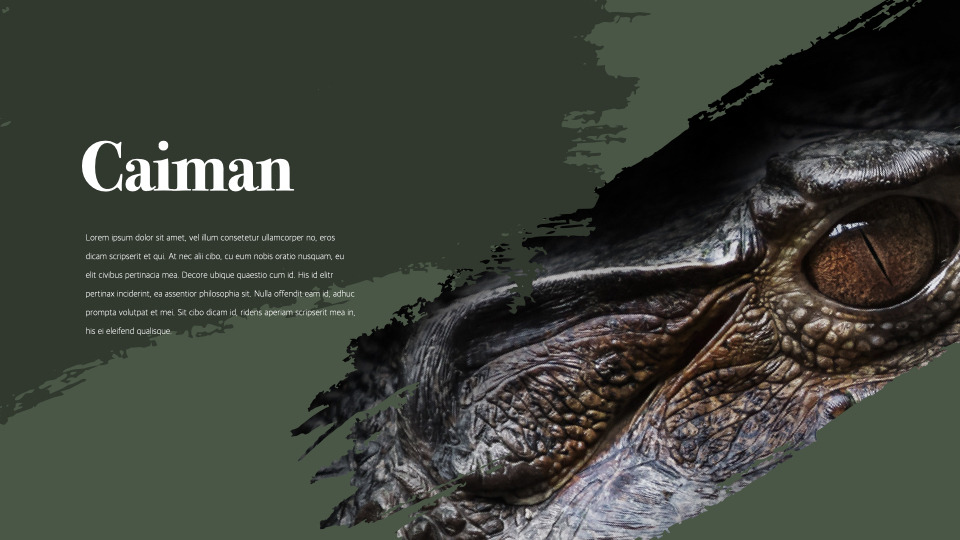 Amazon company profile template designLifestyleKeynote