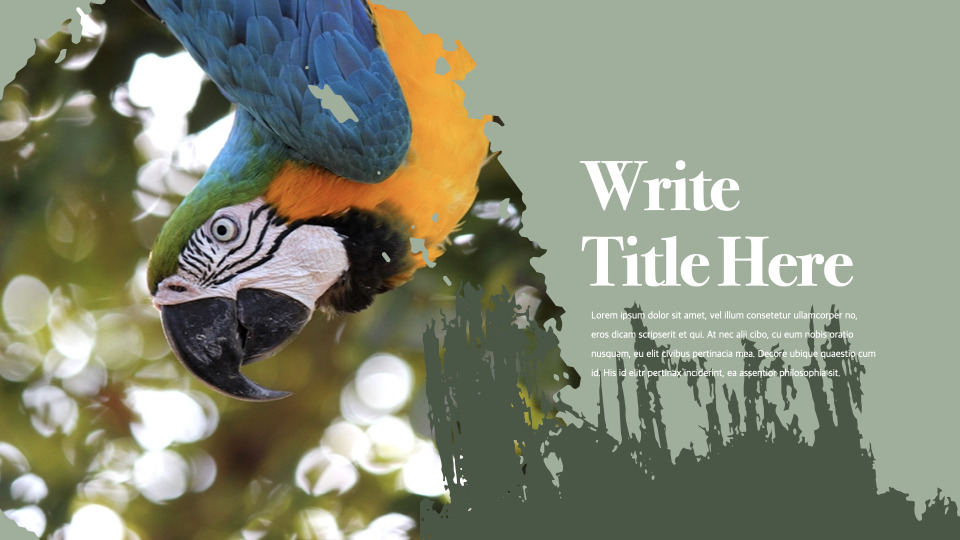 Amazon company profile template designLifestyleKeynote