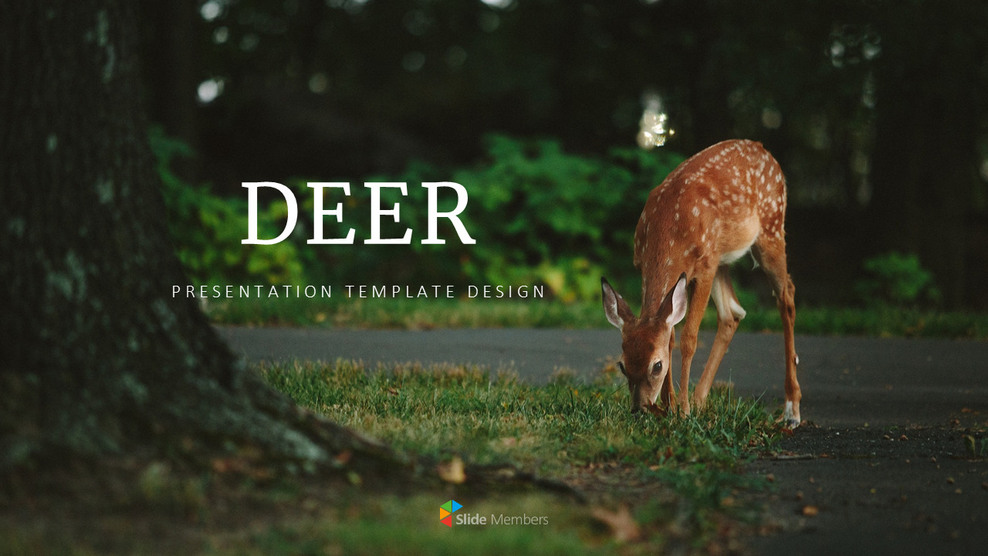 Deer Simple Google Slides Templates_01