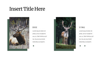 Deer Simple Google Slides Templates_05