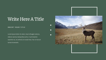 Deer Simple Google Slides Templates_07