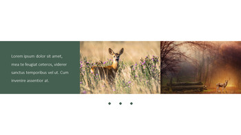 Deer Simple Google Slides Templates_08