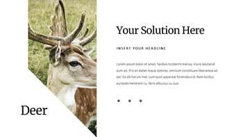 Deer Simple Google Slides Templates_09