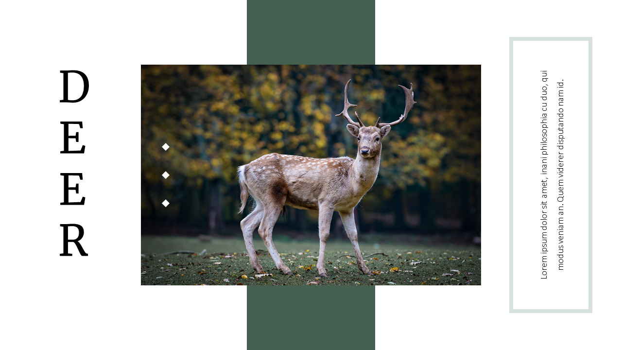 Deer Simple Google Slides Templates|Animal