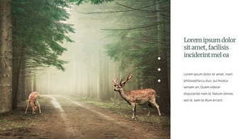 Deer Simple Google Slides Templates_15