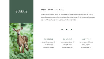 Deer Simple Google Slides Templates_16