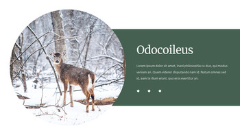 Deer Simple Google Slides Templates_17