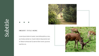 Deer Simple Google Slides Templates_19