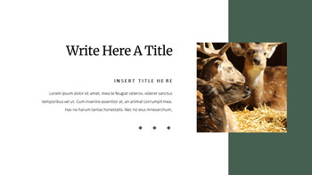 Deer Simple Google Slides Templates_22