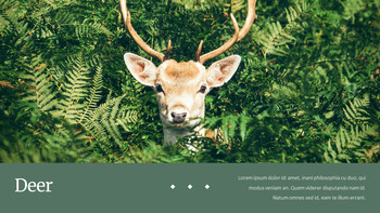 Deer Simple Google Slides Templates_24