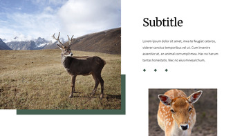 Deer Simple Google Slides Templates_25