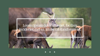 Deer Simple Google Slides Templates_26