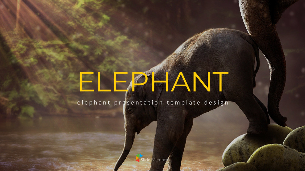 Elephant slideshare ppt_01