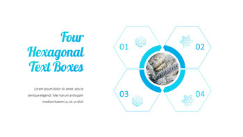 Winter Snow Google Slides Themes & Templates_24