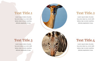 野生动物 谷歌演示模板_10