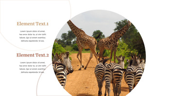 野生动物 谷歌演示模板_17